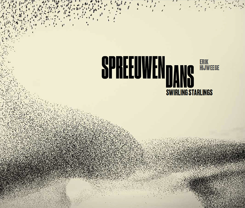 Spreeuwendans boek